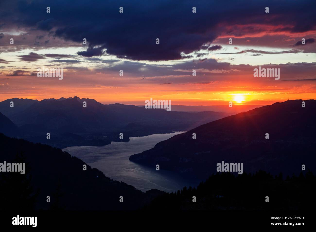 Vista da Schynige Platte al lago Thun al tramonto, Svizzera, Oberland Bernese Foto Stock