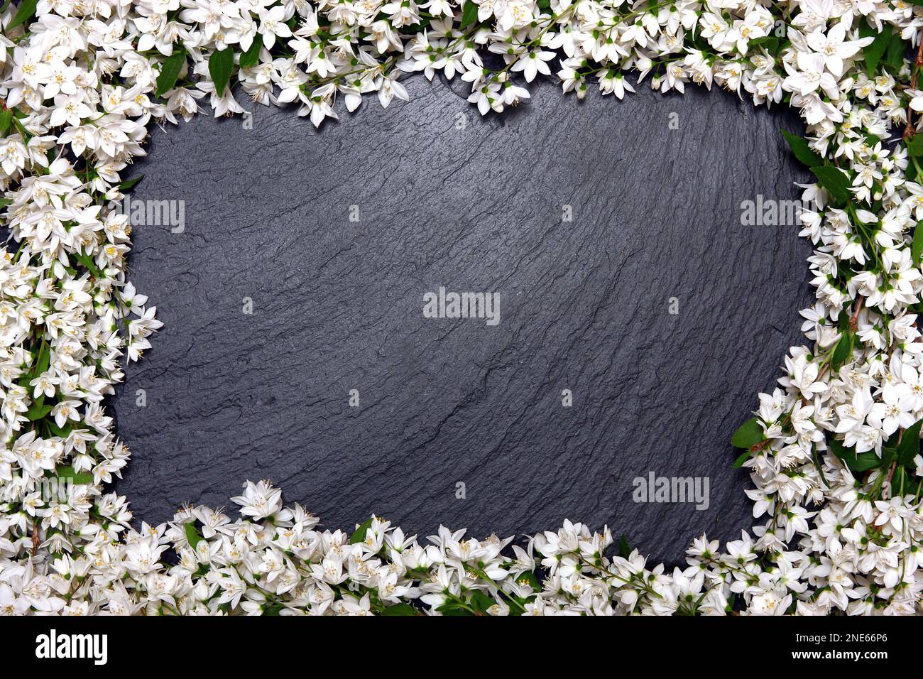 ardesia vuota con decorazione floreale bianca Foto Stock