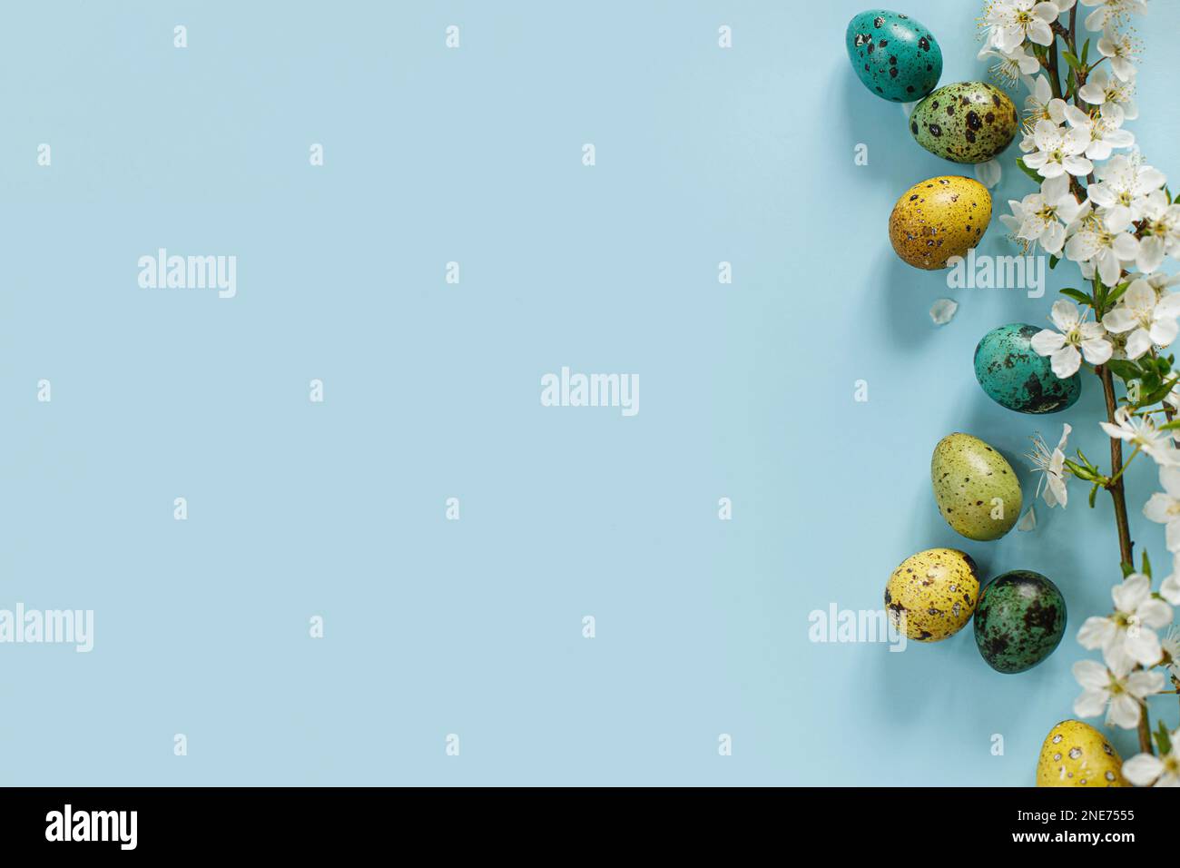 Buona Pasqua! Pasqua uova alla moda e fiori primaverili fioriti su sfondo blu, spazio per il testo. Biglietto d'auguri o banner moderno. Colo dipinto naturale Foto Stock
