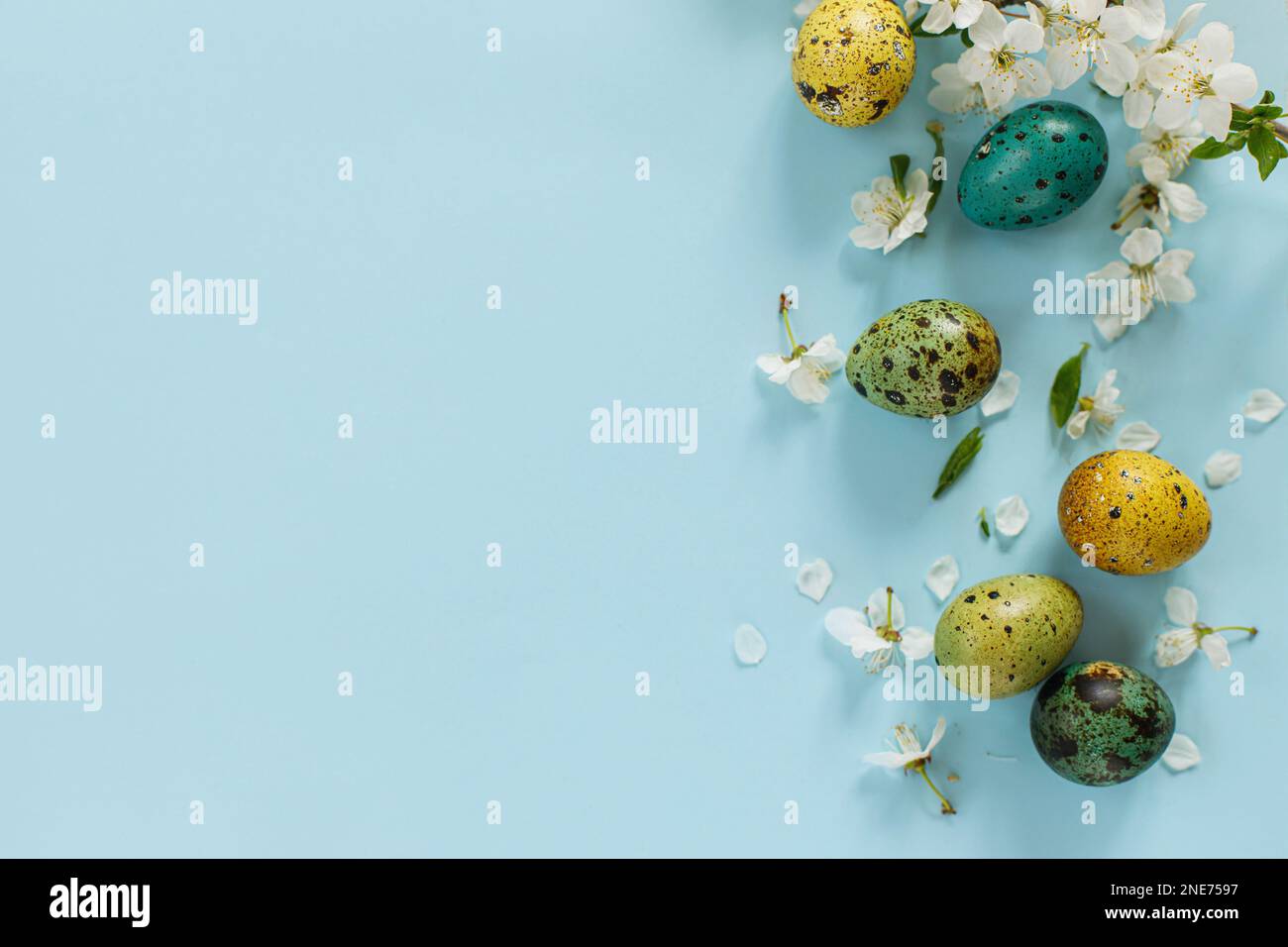 Buona Pasqua! Pasqua uova alla moda e fiori primaverili fioriti su sfondo blu, spazio per il testo. Biglietto d'auguri o banner moderno. Colo dipinto naturale Foto Stock