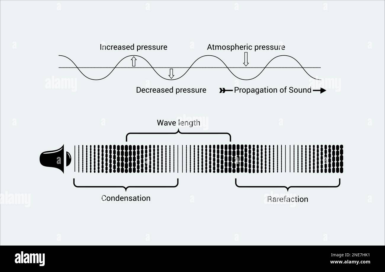 Un'immagine vettoriale isolata di un'onda sonora. Lunghezza d'onda, frequenza, periodo di tempo e velocità di un'onda sonora Illustrazione Vettoriale