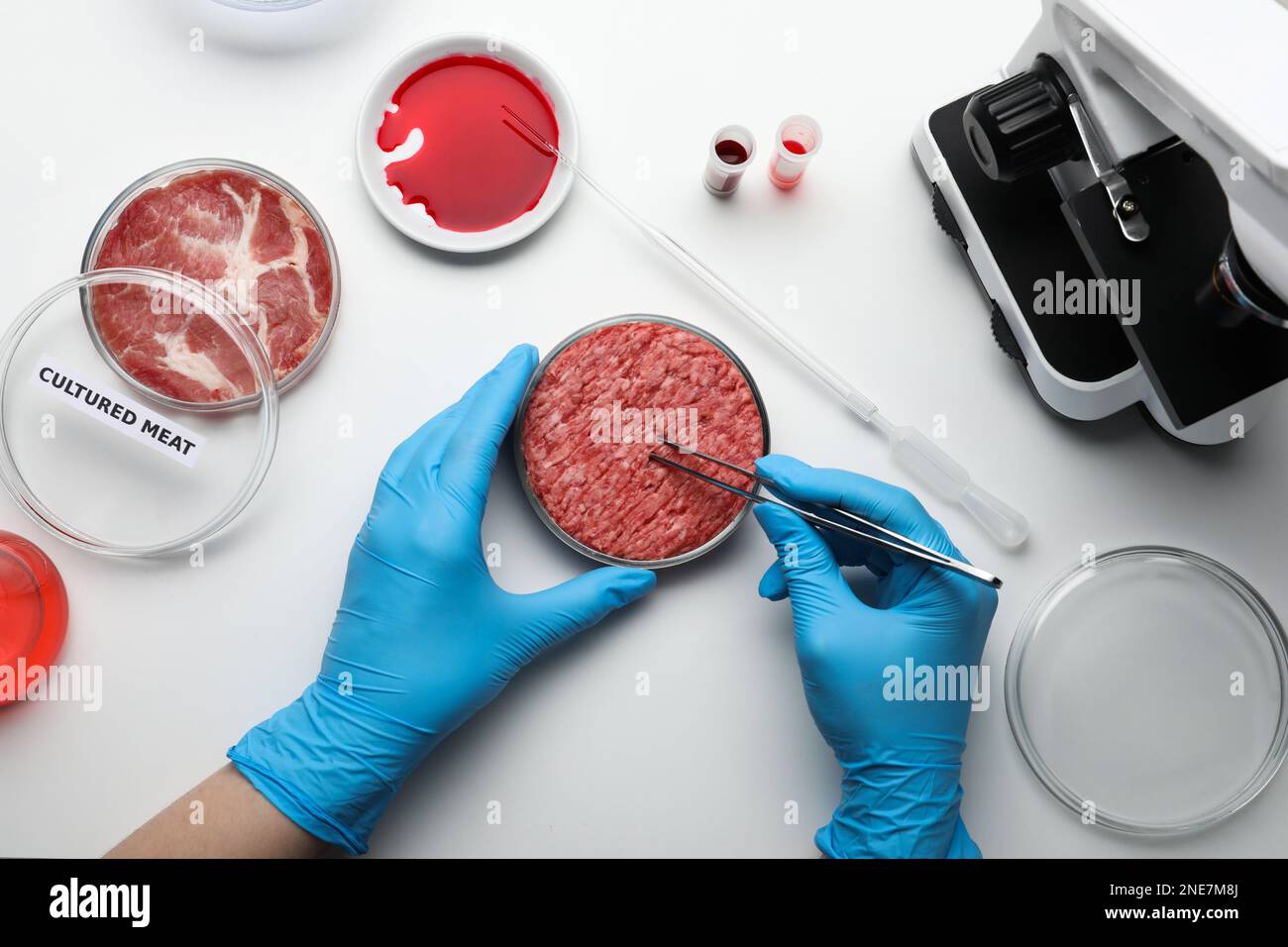 Scienziato che preleva un campione di carne coltivata macinata al tavolo del laboratorio bianco, vista dall'alto Foto Stock