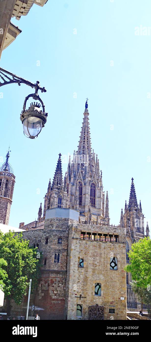 Cattedrale in stile gotico di Barcellona, ​​Catalunya, Spagna, Europa Foto Stock