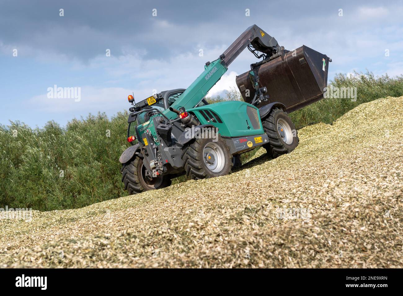 Caricatore Kramer che lavora su un mucchio di trucioli di legno di Willow appena raccolti da utilizzare per il bio-carburante. Cumbria, Regno Unito. Foto Stock