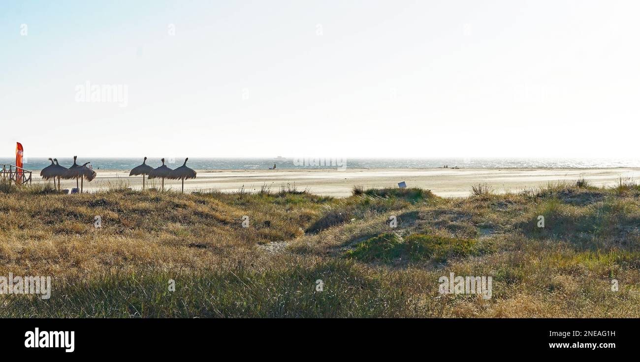 Panoramica della spiaggia di Tarifa con kitesurf aquiloni, Cadice, Spagna, Europa Foto Stock