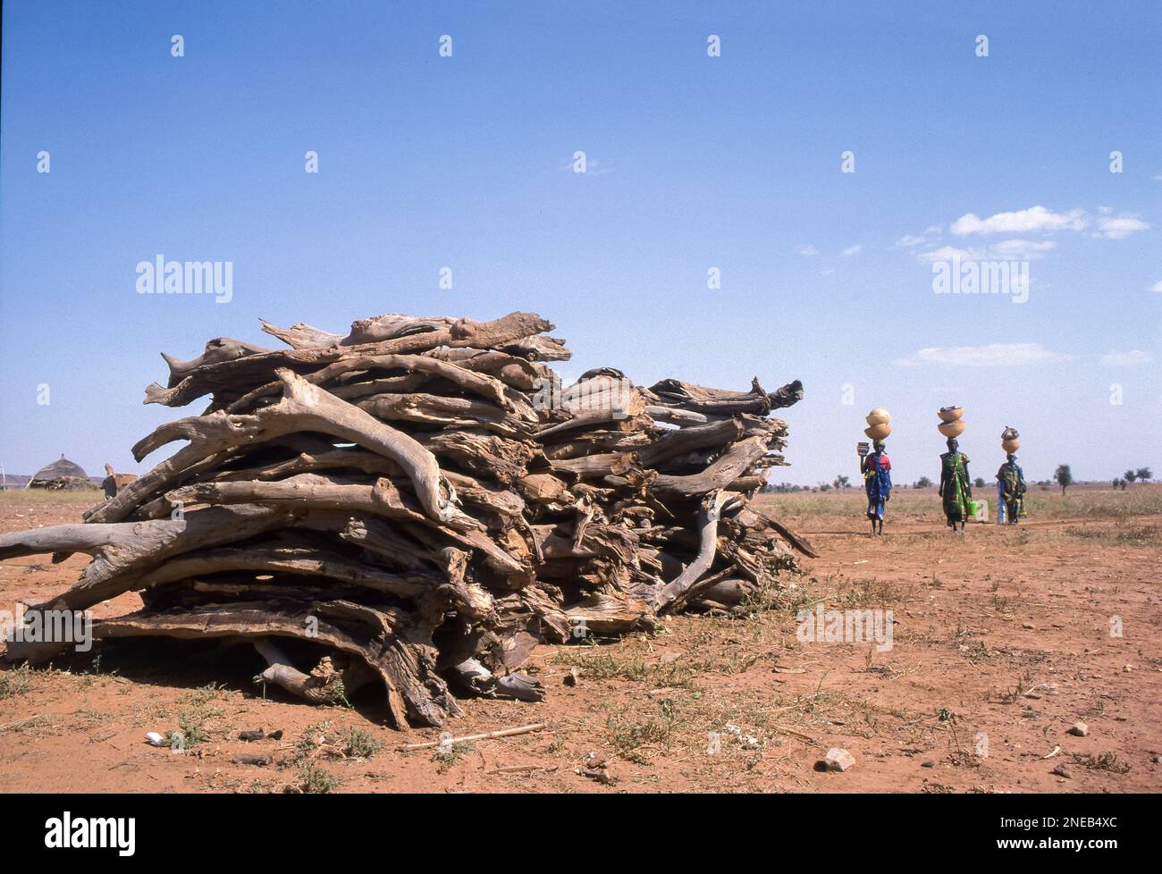Niger, donne che passano pila di legna da ardere, che è in vendita lungo la strada principale. Foto Stock