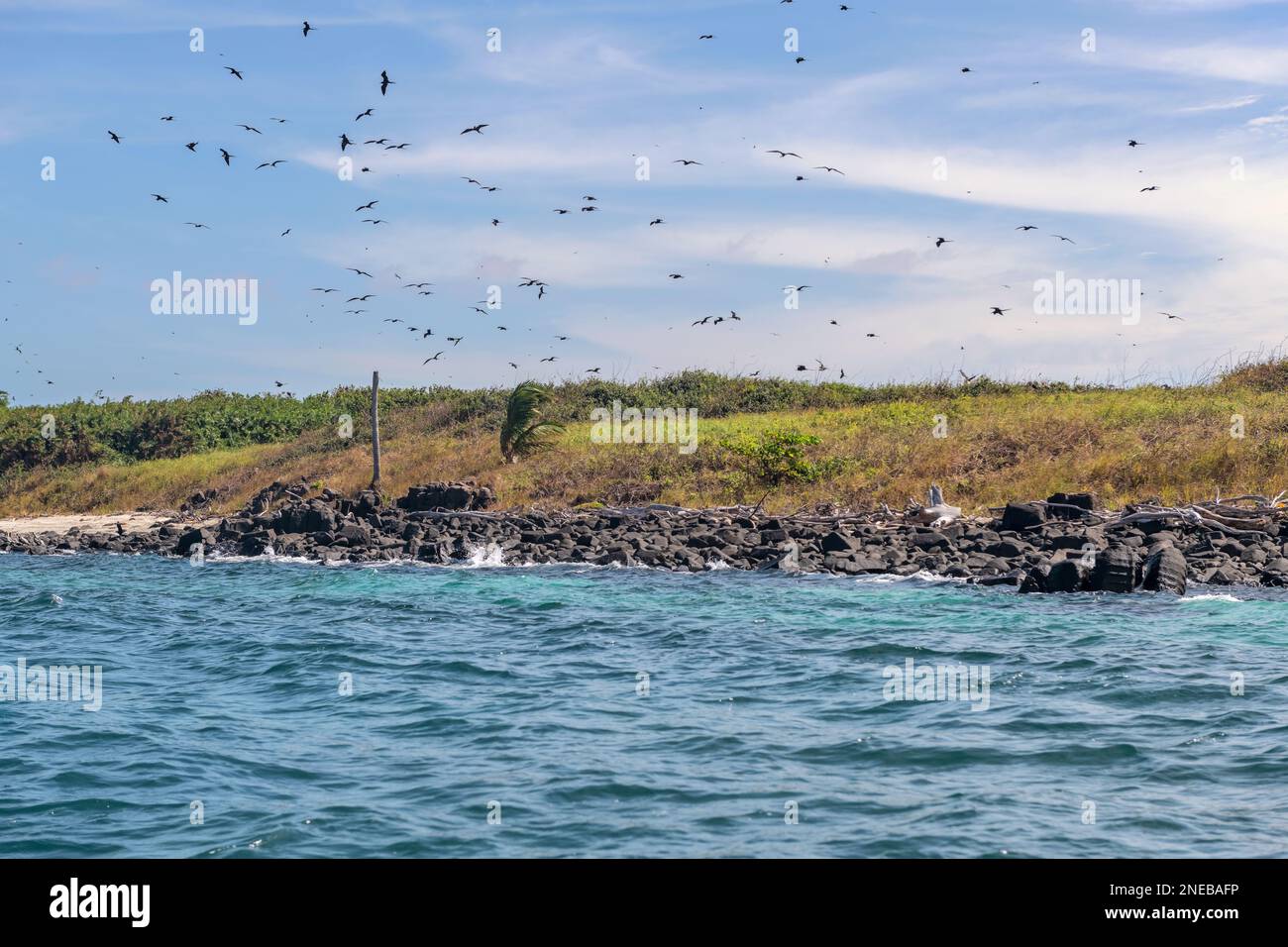 Vista sulla spiaggia di Isla Iguana situato a breve distanza in barca dalla spiaggia Playa El Arenal a Pedasi, Panama. Foto Stock