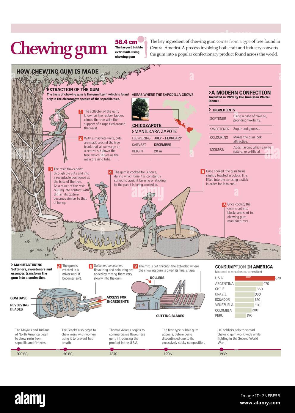 Infografica sull'estrazione e la lavorazione della gomma da masticare. [Adobe Illustrator (.ai); 2480x3248]. Foto Stock