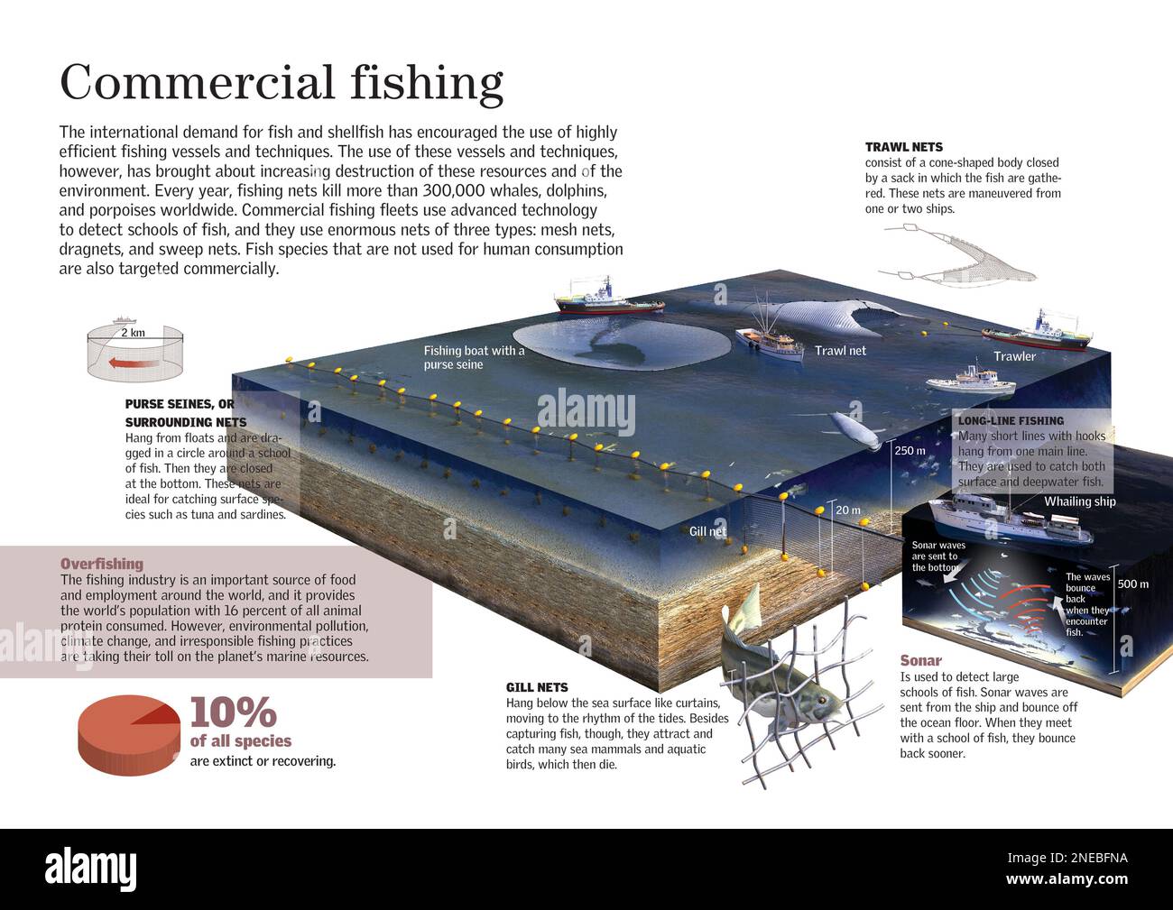 Infografica sulla pesca commerciale, cioè la pesca su larga scala. [Adobe InDesign (.indd); 3507x2480]. Foto Stock