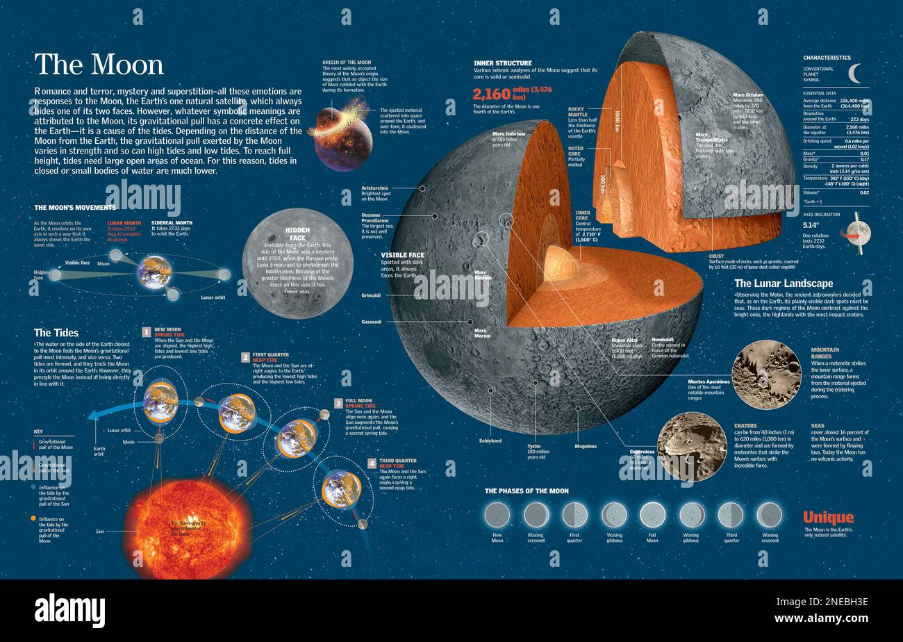 Infografica sull'origine, la geografia, la struttura e le fasi della luna e la sua influenza sulle maree. [QuarkXPress (.qxp); 6259x4015]. Foto Stock
