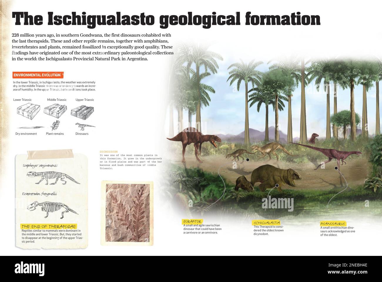 Infografica che mostra la formazione geologica di Ischigualasto nel Parco Naturale Provinciale di Ischigualasto in Argentina, dove sono stati trovati molti fossili di dinosauro del periodo Triassico nell'era mesozoica. [QuarkXPress (.qxp); 4842x3248]. Foto Stock