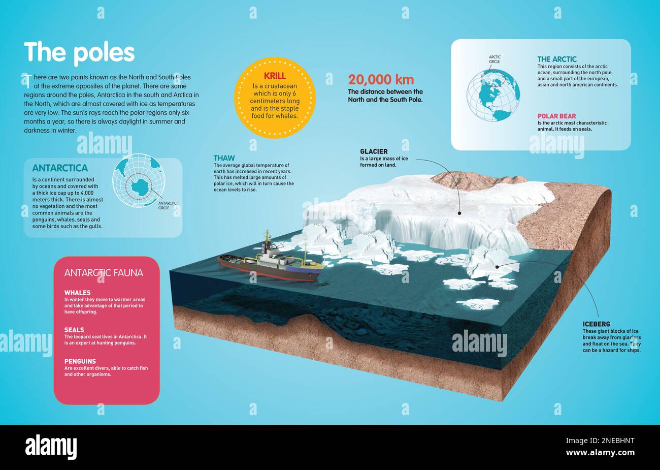 Infografica sulle caratteristiche del sollievo e del clima dei poli della Terra, come web come della fauna che vive in essi. [QuarkXPress (.qxp); Adobe InDesign (.indd); 4960x3188]. Foto Stock