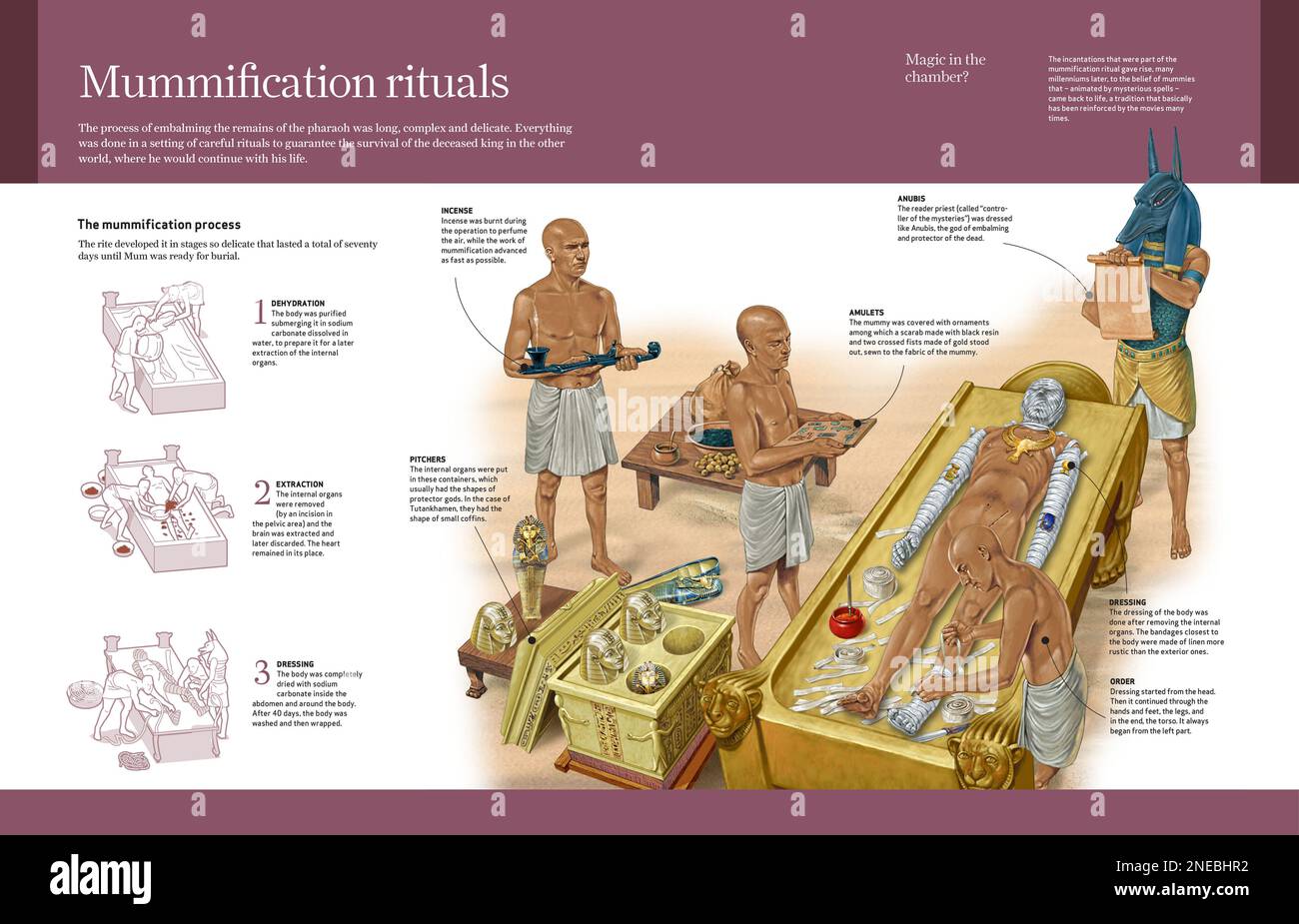Infografica sul processo che gli egiziani hanno seguito per mummificare i corpi. [Adobe InDesign (.indd); 4960x3188]. Foto Stock