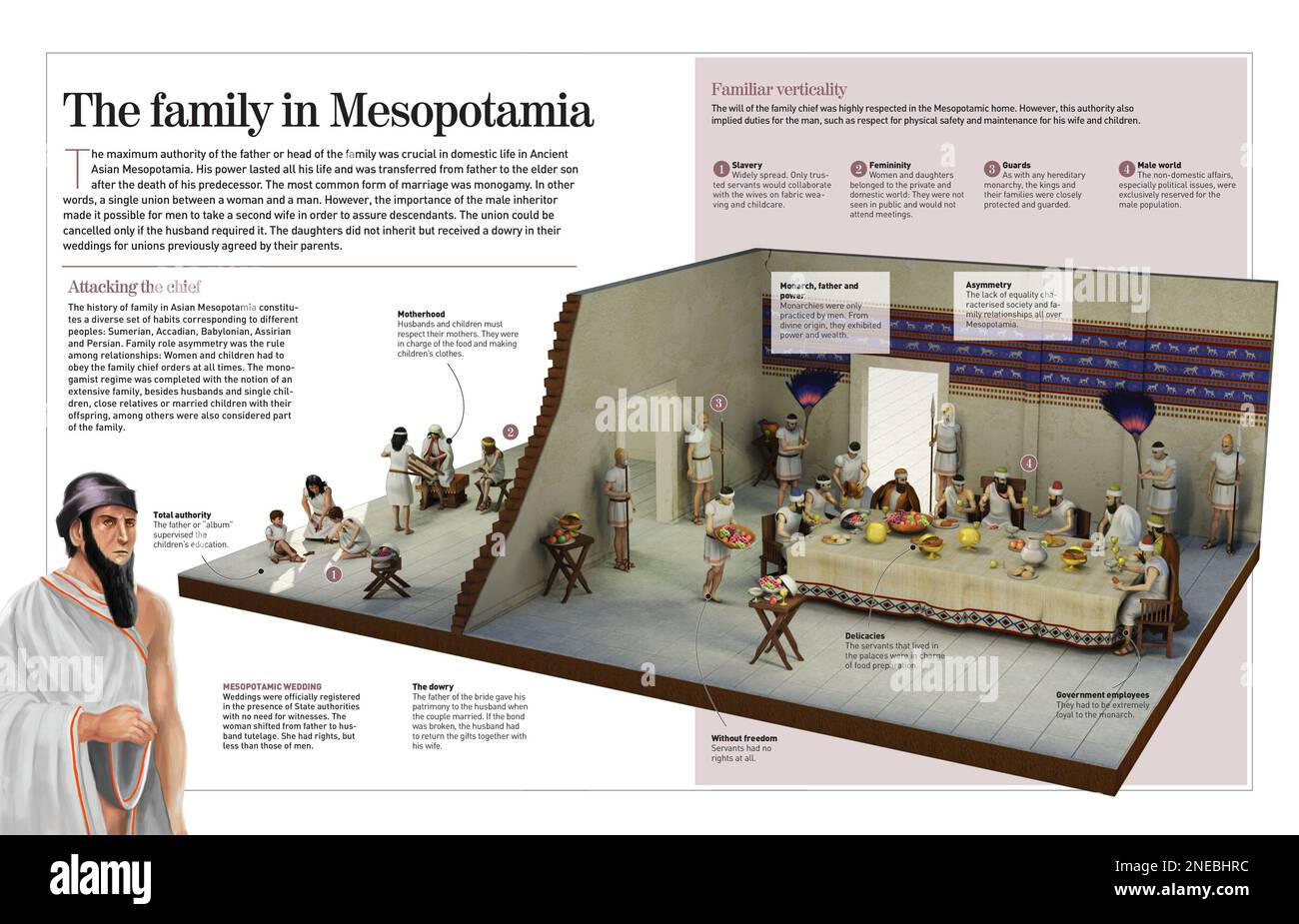 Infografica sull'organizzazione asimmetrica delle famiglie in Mesopotamia del 1750 a.C. dove il padre o "album" era la più alta autorità. [Adobe InDesign (.indd); 4960x3188]. Foto Stock
