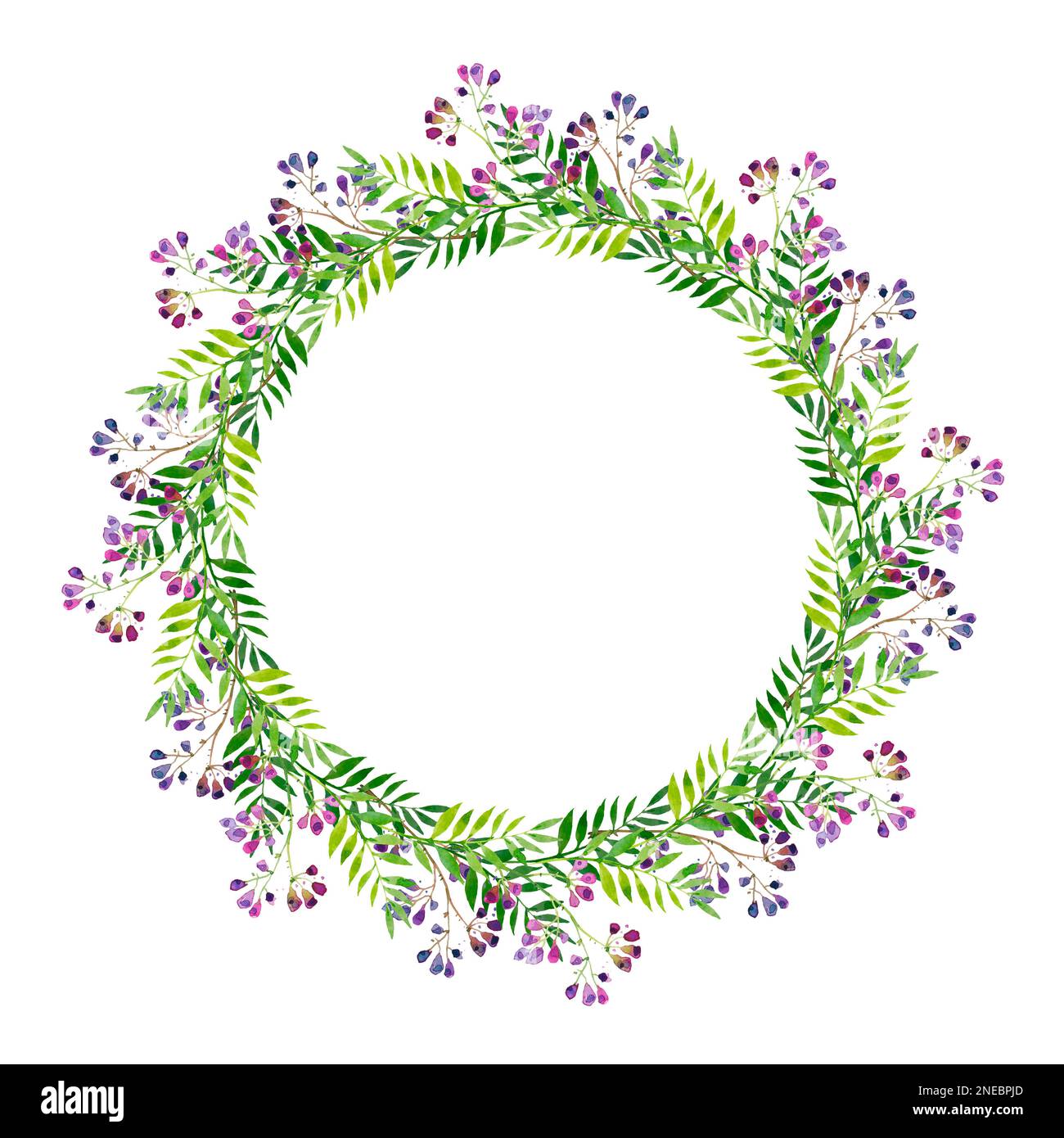 Brillante e delicata corona di fiori rosa e viola e foglie verdi ricci, illustrazione acquerello. Disegno a mano per stampa, saluti, loghi Foto Stock