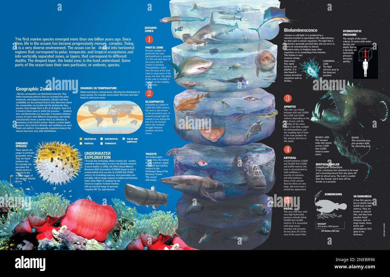 Infografica delle specie che abitano gli oceani in funzione delle condizioni climatiche, della temperatura e di fattori quali il cambiamento climatico. [QuarkXPress (.qxp); 6259x4015]. Foto Stock