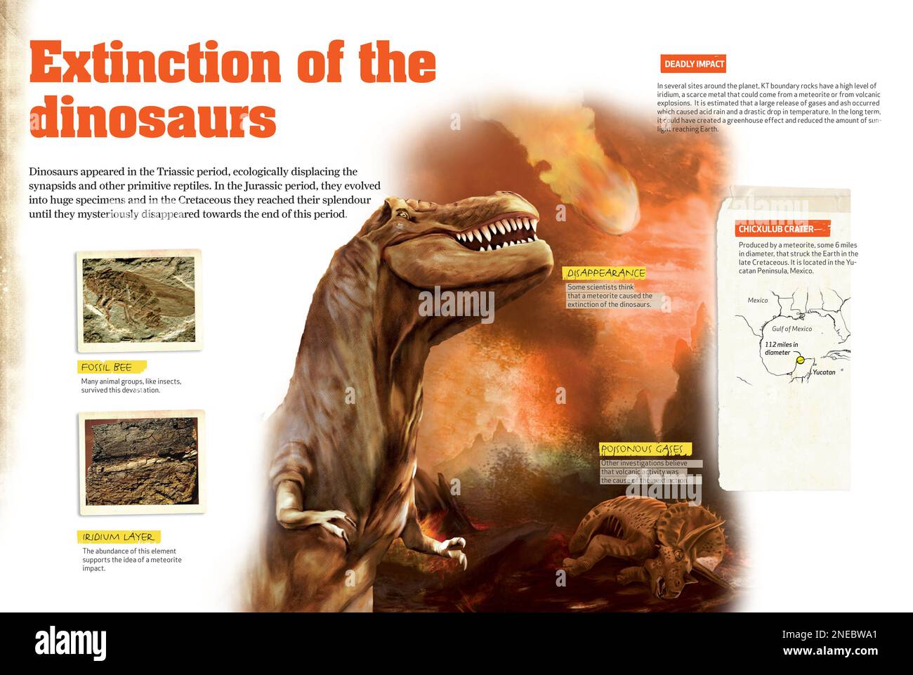 Infografica sull'estinzione dei dinosauri che presenta due ipotesi: L'impatto di un meteorite, o l'impatto dell'attività vulcanica. [QuarkXPress (.qxp); 4842x3248]. Foto Stock