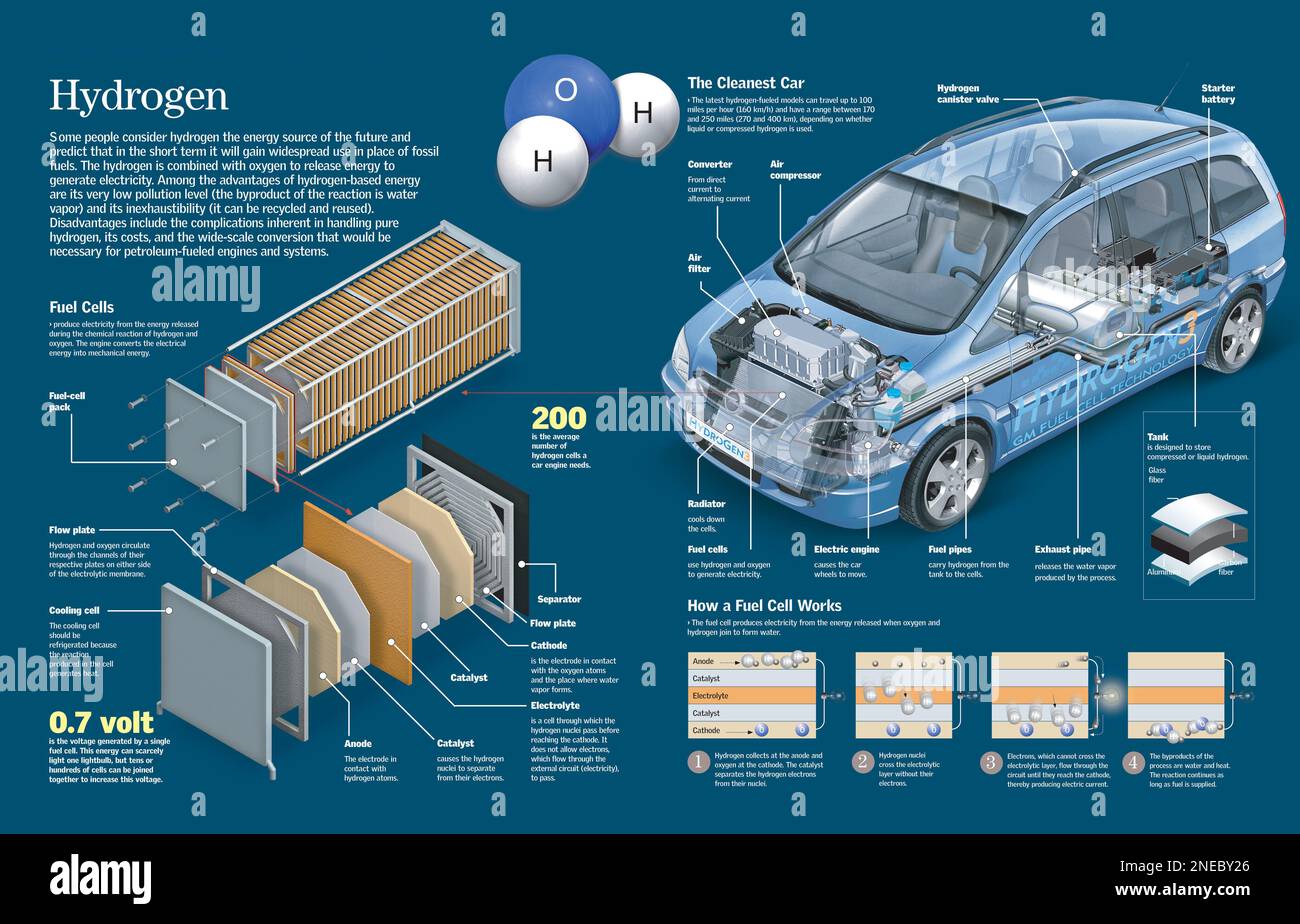 Infografica sul funzionamento di un veicolo azionato da idrogeno e dettagli delle celle a combustibile. [QuarkXPress (.qxp); 6259x4015]. Foto Stock
