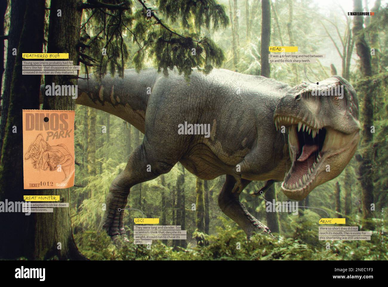 Infografica sulle principali caratteristiche fisiche del Tyrannosaurus Rex, che lo ha reso il predatore principale durante il periodo cretaceo. [QuarkXPress (.qxp); 4842x3248]. Foto Stock