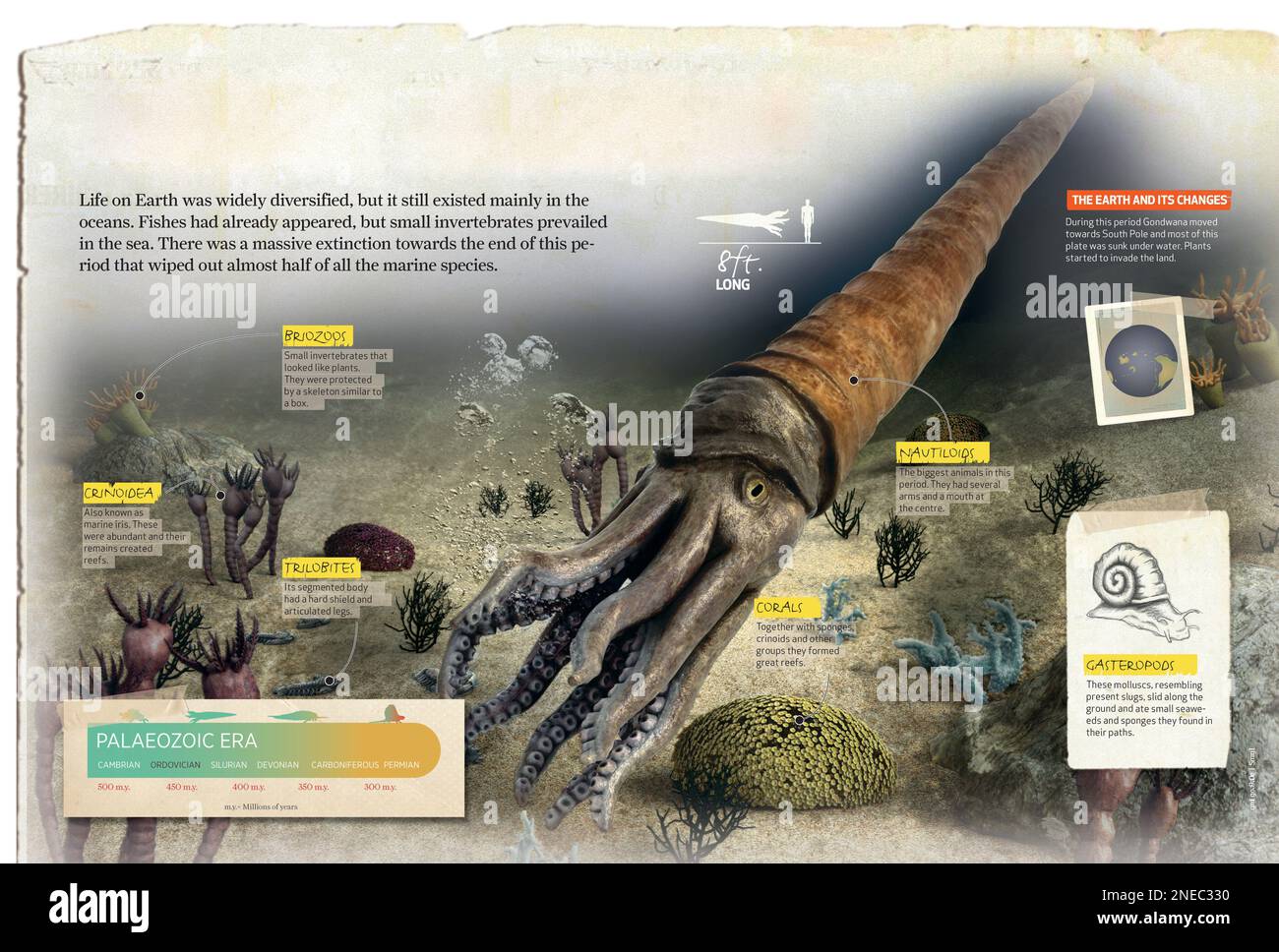 Infografica sul periodo ordovico, l'era paleozoica e la sua fauna marina. [QuarkXPress (.qxp); 4842x3248]. Foto Stock