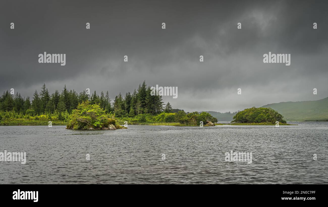 Piccole isole rocciose coperte da cespugli e alberi sul lago Ballynahinch. Pineta con cielo scuro tempesta sullo sfondo. Connemara, Contea di Galway Foto Stock