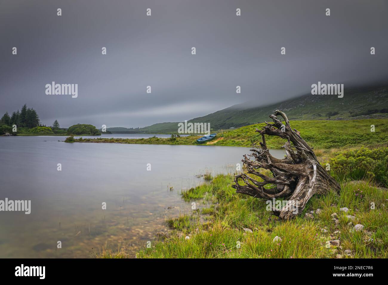 Tronco dell'albero con radici e barca a remi sul bordo del lago Ballynahinch a Connemara, Contea di Galway. Acqua sfocata e cielo scuro e drammatico, lunga esposizione Foto Stock