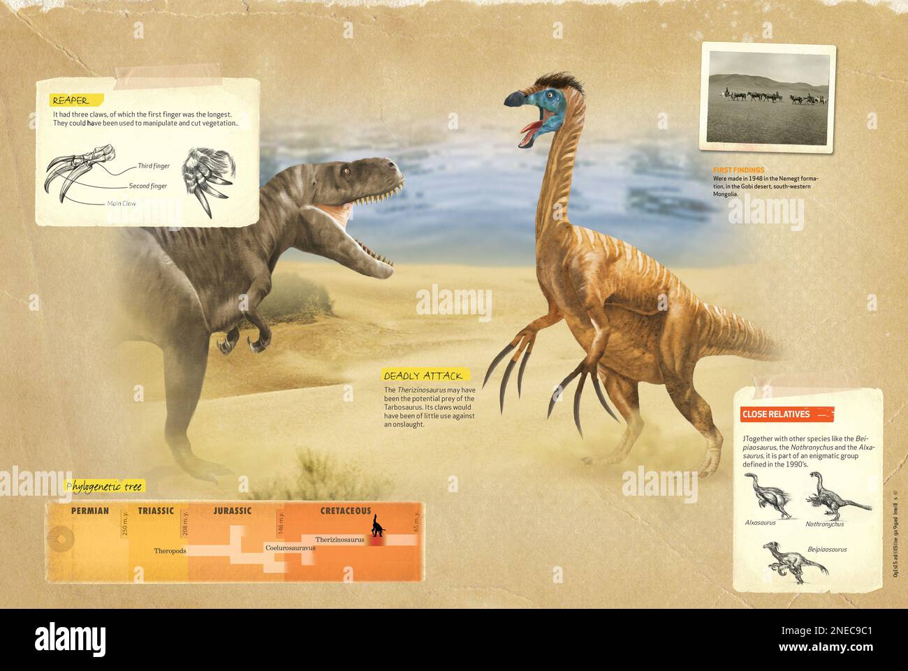 Infografica sulle zampe del therizinosaurus, un teropodo erbivoro del periodo cretaceo dell'era mesozoica, e il suo albero filogenetico. [QuarkXPress (.qxp); 4842x3248]. Foto Stock
