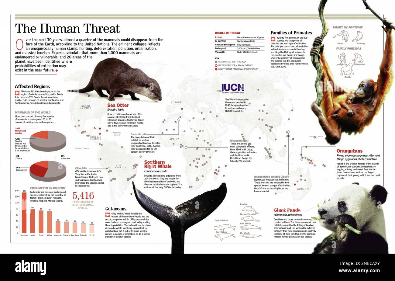 Infografica sui mammiferi in pericolo di estinzione. [QuarkXPress (.qxp); 6259x4015]. Foto Stock