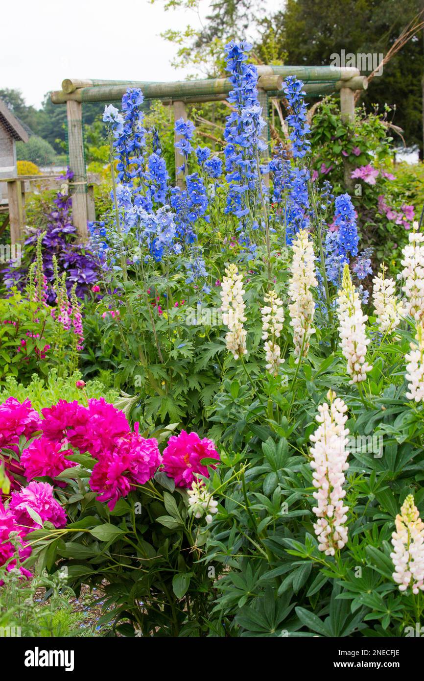 Giardino Cottage Inglese con fiori misti e pergola Foto Stock