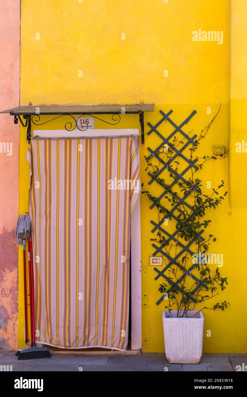 Impianto di arrampicata crescere su traliccio di casa di colore giallo brillante con tenda a righe a Burano, Venezia, Italia nel mese di febbraio Foto Stock