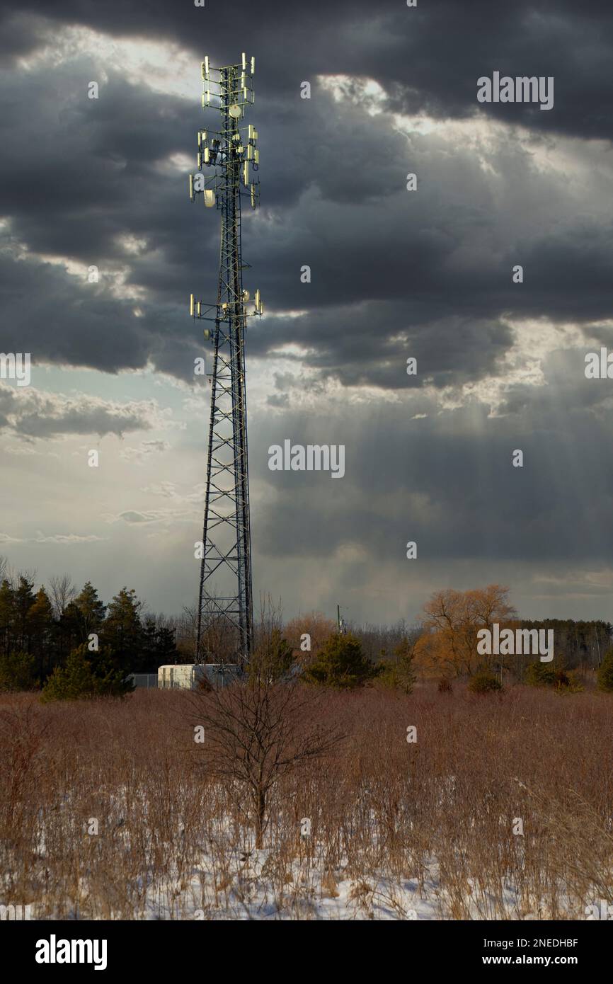 Una torre del telefono cellulare sul campo. Foto Stock