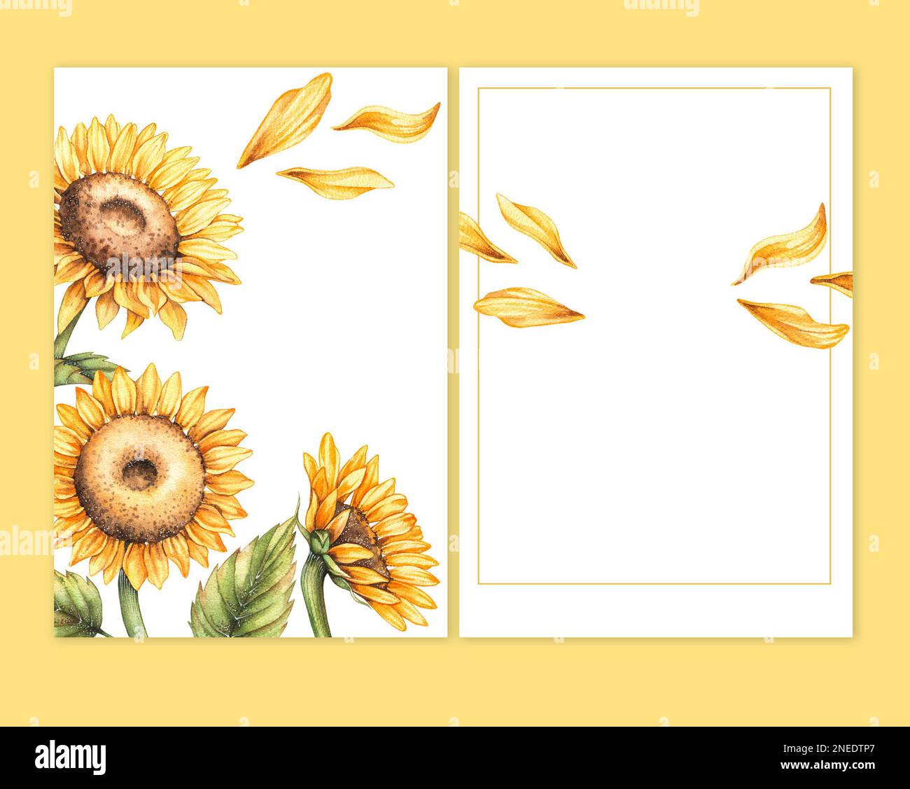 Set Di 3 Biglietti Di Auguri Fatti A Mano Con Fiori Di Carta - Ideali Per Compleanni, Feste, Ringraziamenti (Rosa, Girasole, Calla)