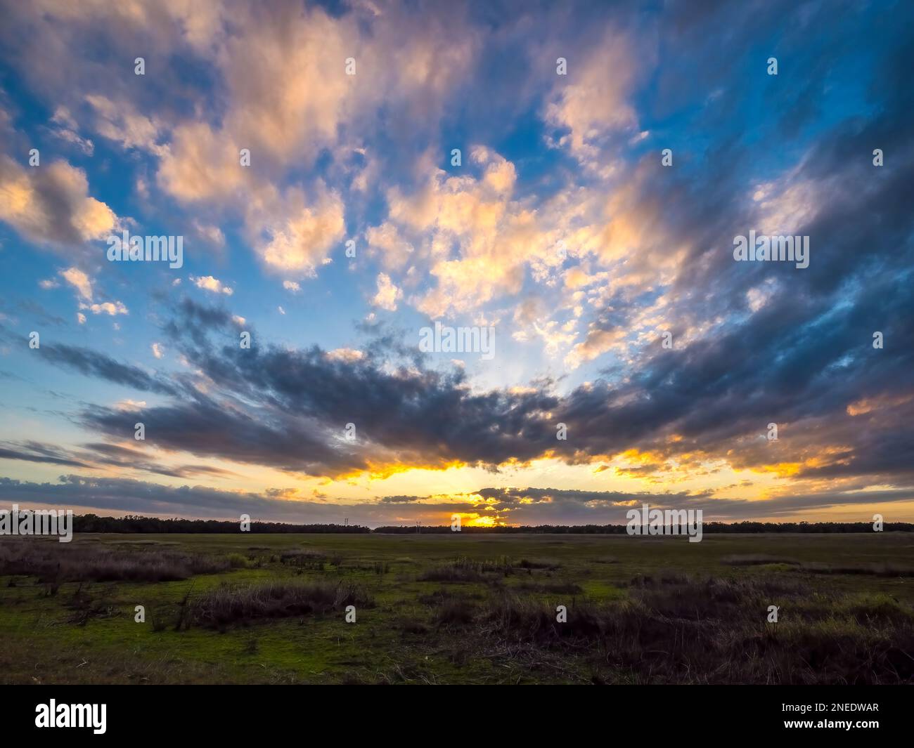 Tramonto sulla zona dei Big Flats del Myakka River state Park a Sarasota, Florida, USA Foto Stock