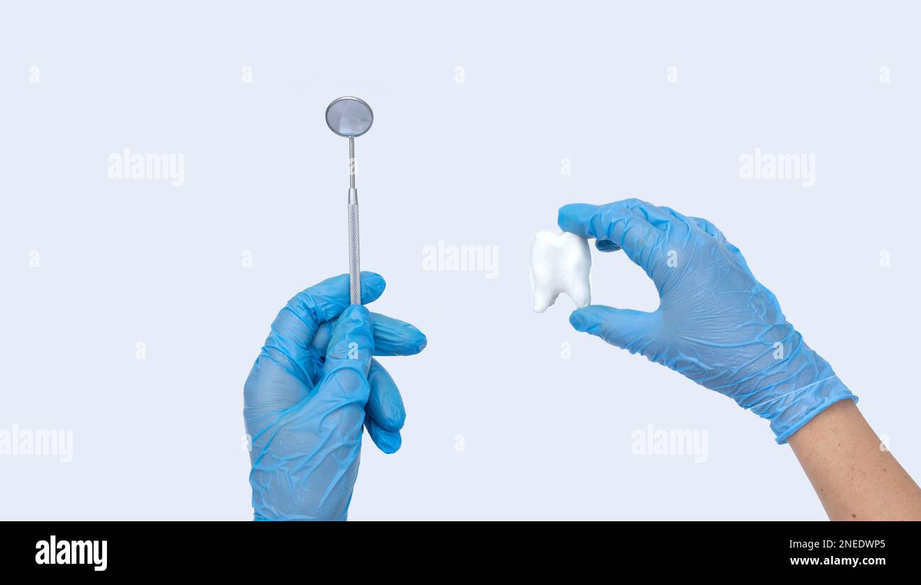 La mano del dentista femmina tiene un modello di dente e specchio del dentista. Sfondo chiaro. Concetto di igiene orale in famiglia. Foto Stock