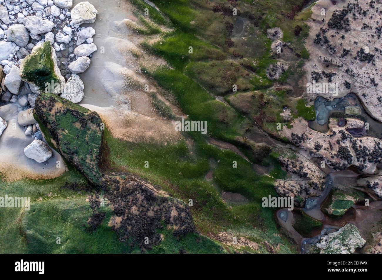 Vista aerea, pietre colorate e alghe sulla costa, Praia do Porto Barrel, Charneca, Portogallo Foto Stock