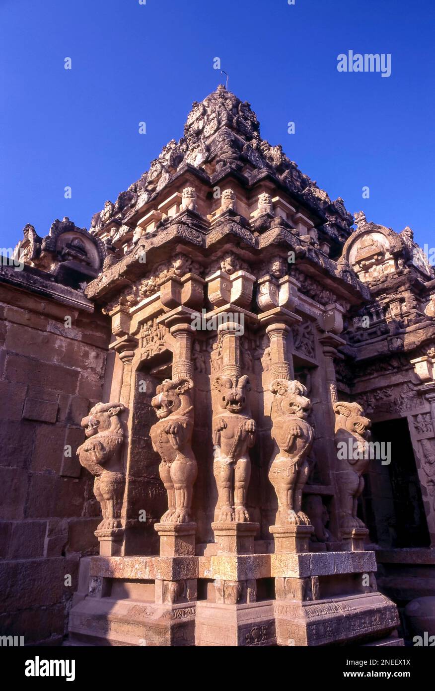 Il Tempio di Kailasanathar, 8th ° secolo; Kanchipuram vicino a Chennai; Madras; Tamil Nadu, India. Fu costruita dal Re Pallava Narasimhavarman II Foto Stock