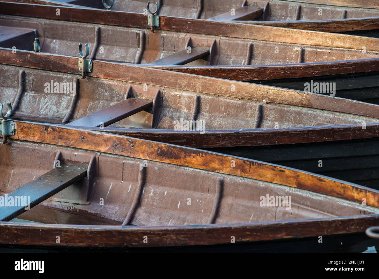 Barche a remi ormeggiate in fila ai Belper River Gardens, Derbyshire, Inghilterra Foto Stock