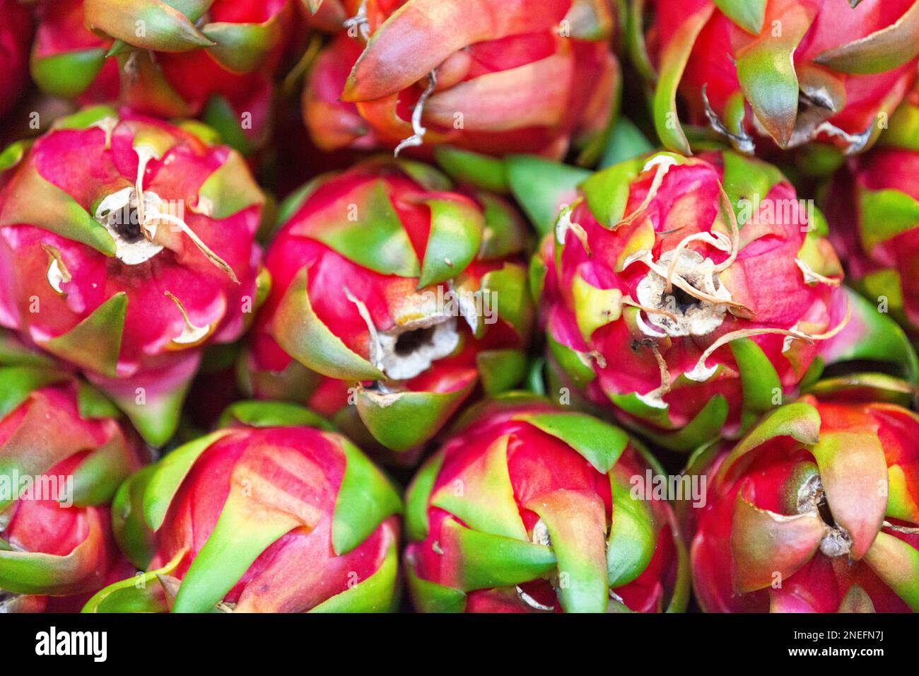 Primo piano su una pila di frutti di drago in una bancarella del mercato. Foto Stock