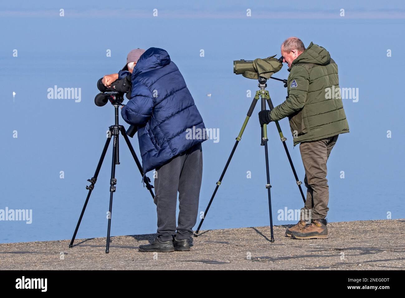 Due birdwatchers / birdwatchers che guardano attraverso il telescopio per gli uccelli marini lungo la costa del Mare del Nord in inverno Foto Stock