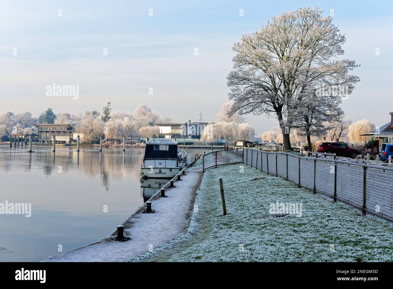 La riva del fiume a Shepperton in una fredda giornata di inverni soleggiati con alberi e vegetazione ricoperta di brina di bue, Surrey Inghilterra UK Foto Stock