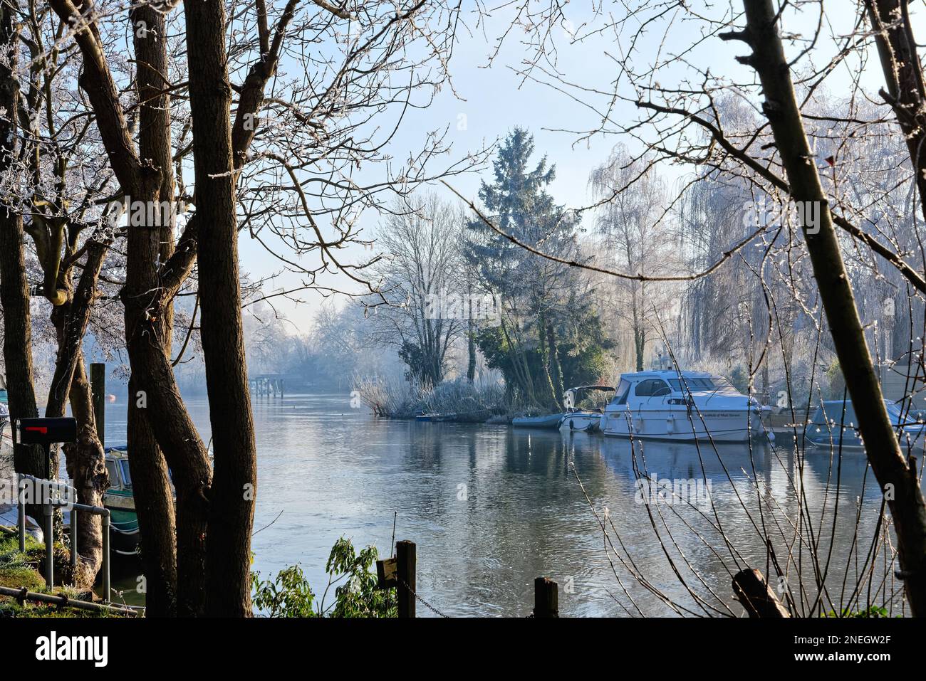 La riva del fiume a Shepperton in una fredda giornata di inverni soleggiati con alberi e vegetazione ricoperta di brina di bue, Surrey Inghilterra UK Foto Stock