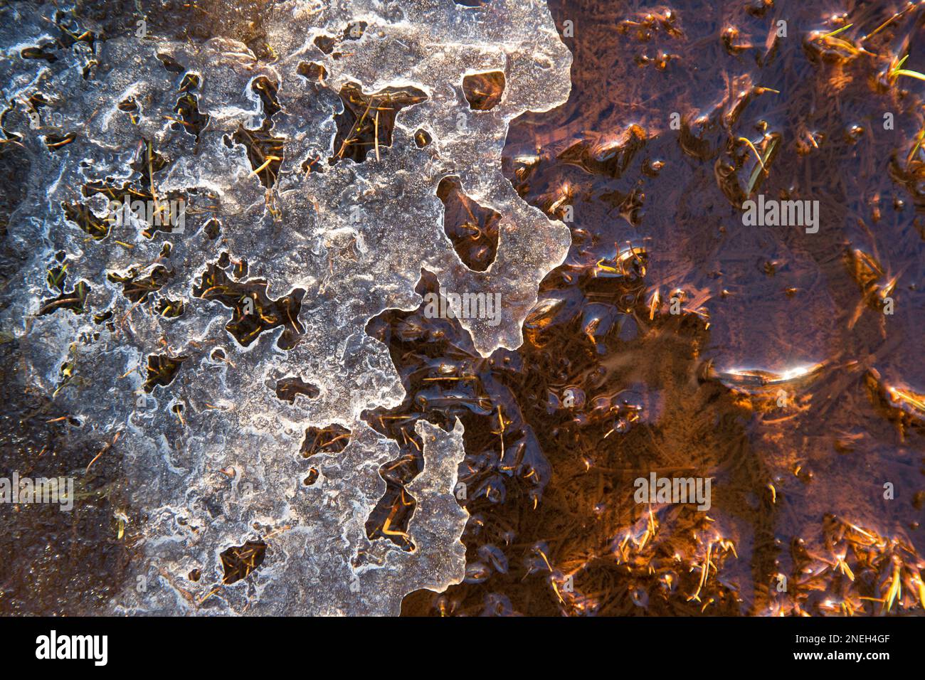 Ghiaccio congelato a gennaio in una piscina di paludi salate vicino a Jenny Brown’s Point, vicino al villaggio di Silverdale. Morecambe Bay è famosa per i suoi tramonti, per i suoi spostamenti Foto Stock