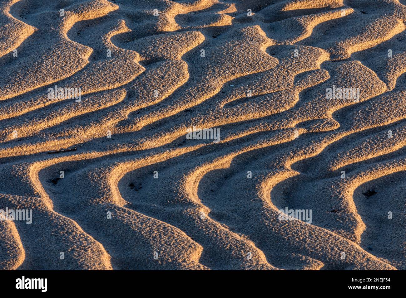 Reticoli della sabbia Foto Stock