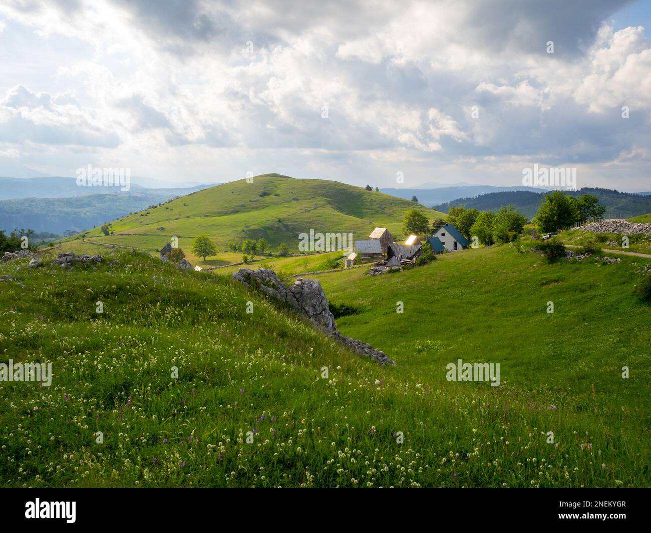 Susica platea, Parco Nazionale Durmitor Foto Stock