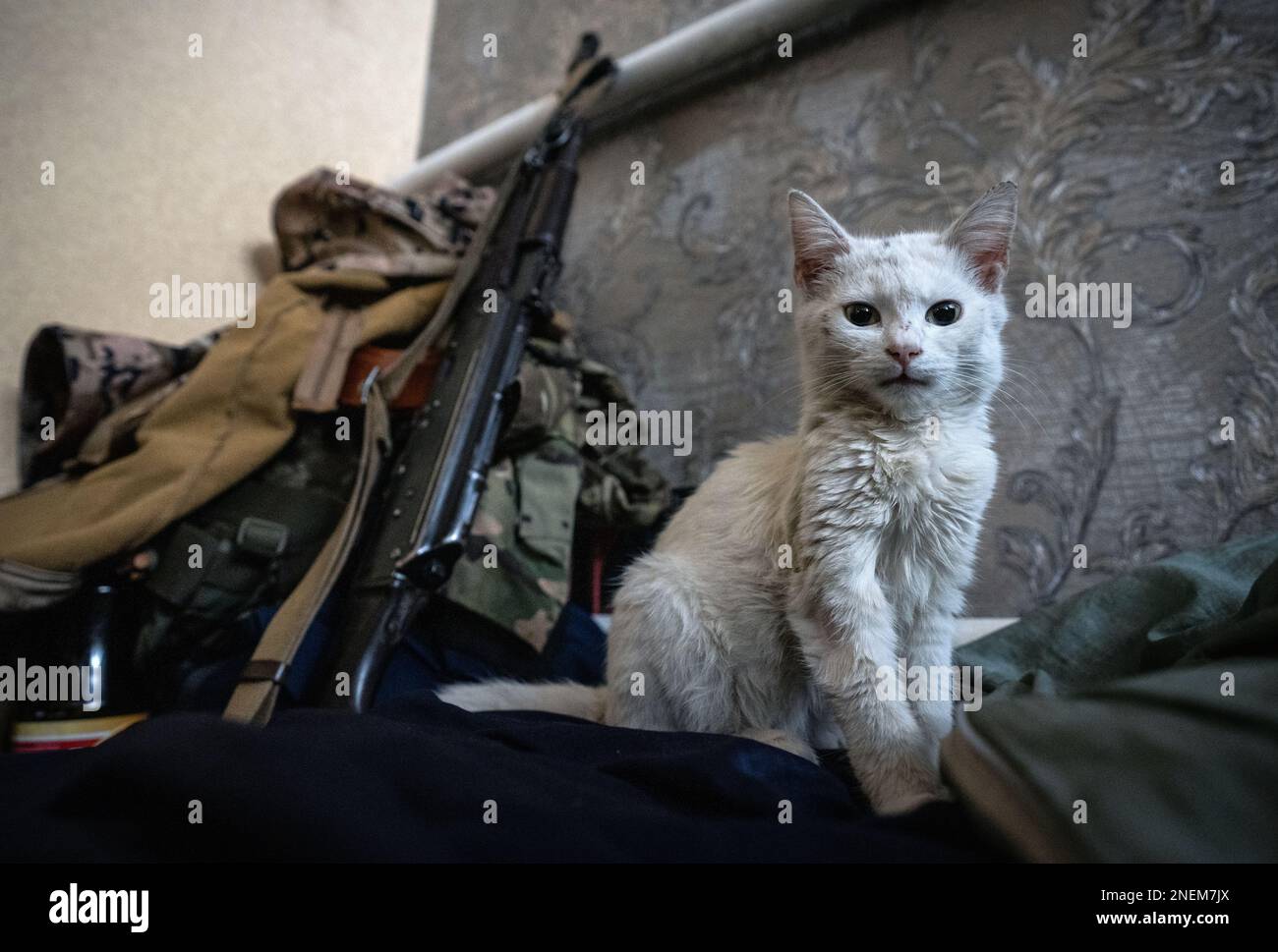 Regione di Donetsk, Ucraina. 14th Feb, 2023. Regione di Donetsk, Ucraina - 14 febbraio 2023: La vita quotidiana nell'avamposto di combattimento dell'esercito ucraino vicino alla linea anteriore della regione di Donbas. (Foto di Kish Kim/Sipa USA) *** Korea out *** Credit: Sipa USA/Alamy Live News Foto Stock