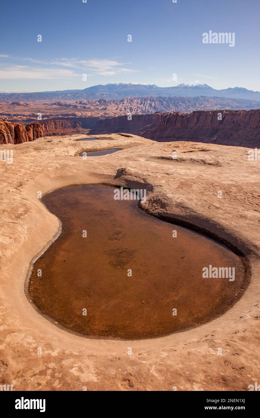 Piscine effimere piene di acqua piovana nell'arenaria di Kayenta al Passo Pucker sopra il Long Canyon vicino a Moab, Utah, con dietro le rocce e il Monte la SAL Foto Stock