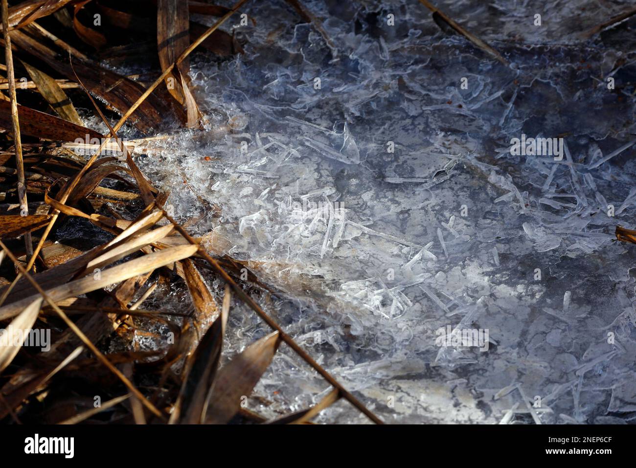 Ghiaccio. Budino congelato e ghiaccio cracked.. Cardiff. Febbraio 2023. Inverno. Foto Stock