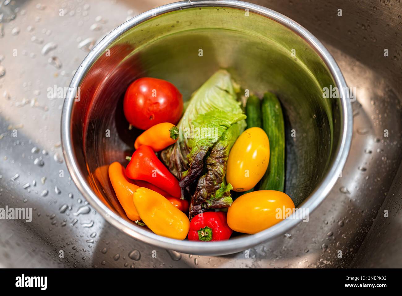 Primo piano di lattuga fresca lavata a foglia rossa, cetrioli verdi, peperoni e pomodori per preparare l'insalata in affonda durante il viaggio Foto Stock