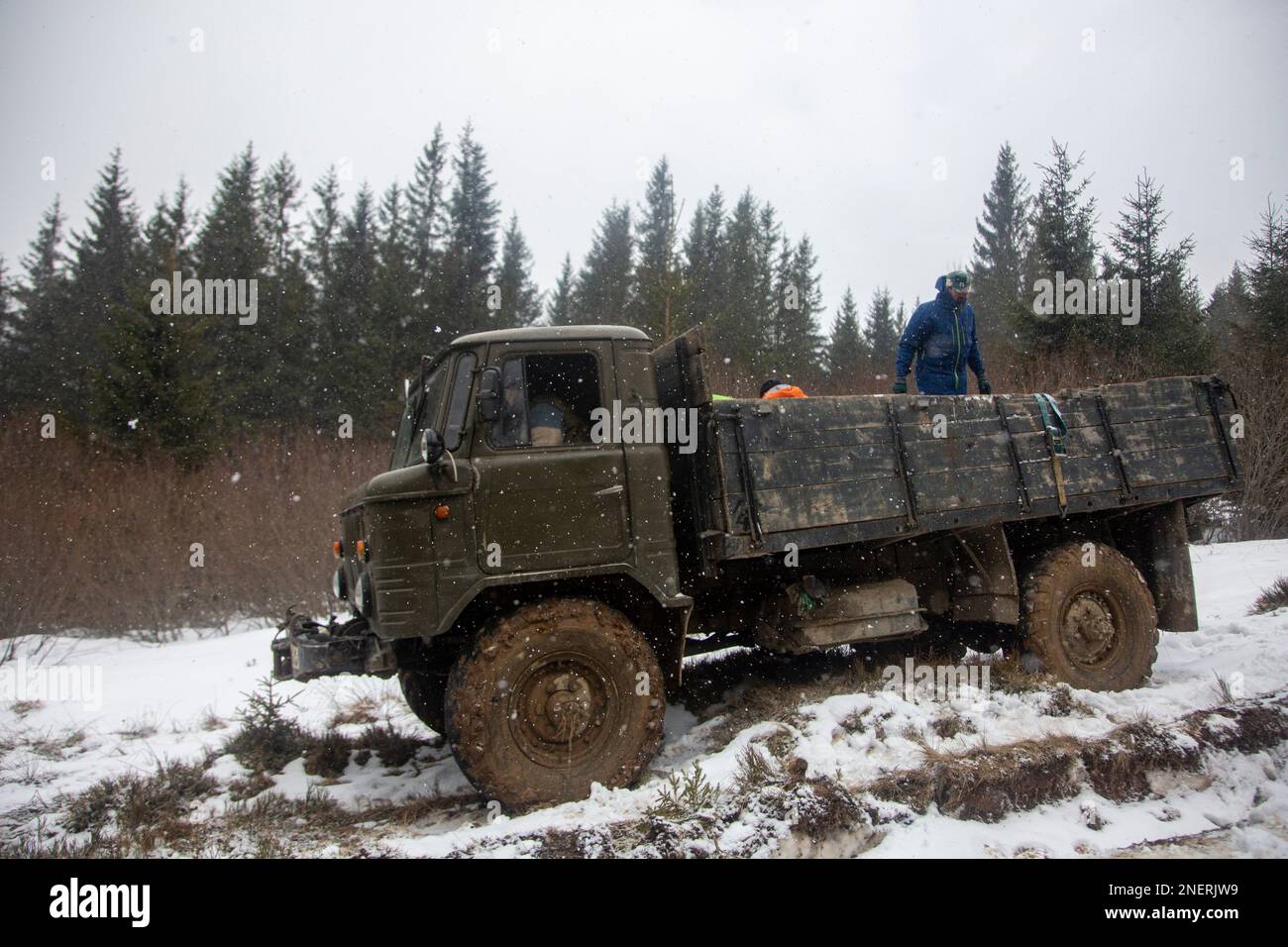 Un vecchio camion militare nella palude di colore verde con grandi ruote sporche nella foresta, Carpazi Montagne Foto Stock