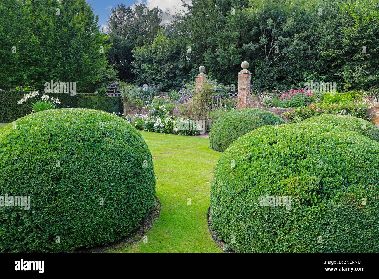 Topiario al Wollerton Old Hall Gardens Garden Wollerton Market Drayton Shropshire Inghilterra Regno Unito Foto Stock